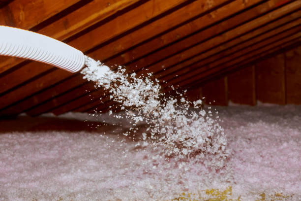 Best Spray Foam Insulation in Dublin, GA