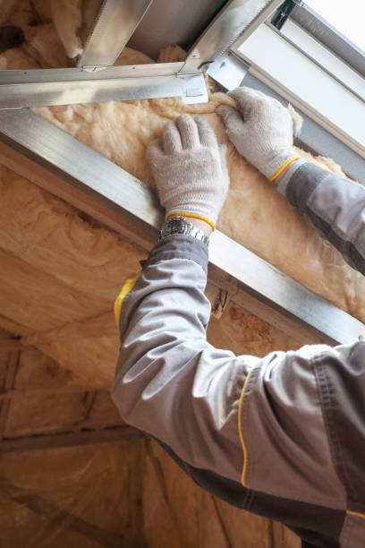 Best Residential Insulation in Dublin, GA