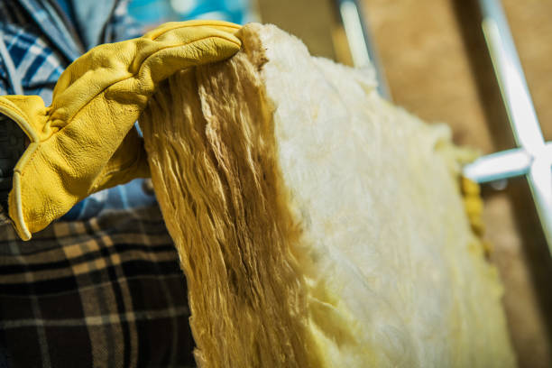 Best DIY Insulation Kits and Guidance in Dublin, GA