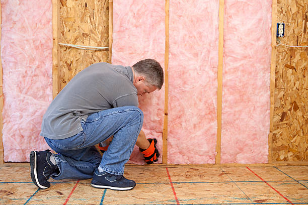 Types of Insulation We Offer in Dublin, GA